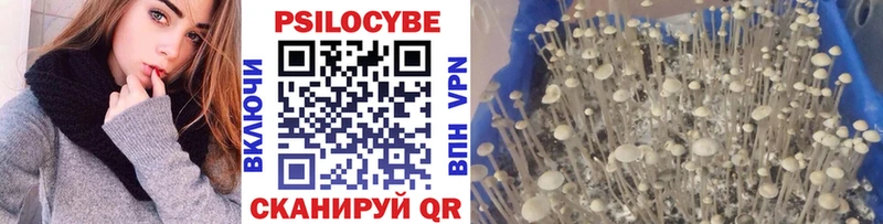 Галлюциногенные грибы Magic Shrooms  Клин 